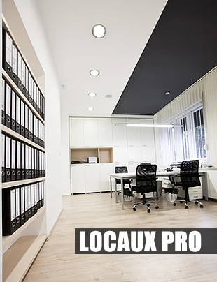locaux professionnels