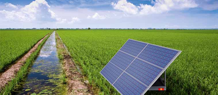 Photovoltaïque agricole