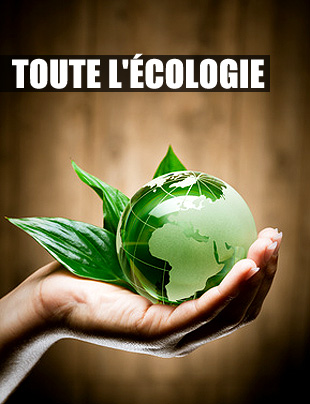 Toute l'écologie