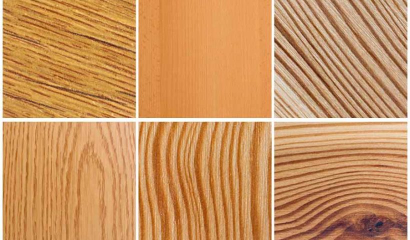 Les différentes essences de bois