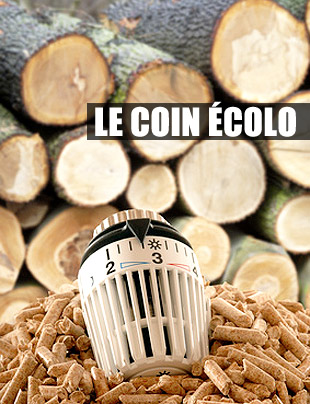 Le coin écologique
